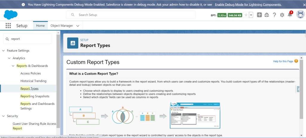 Custom Report Type