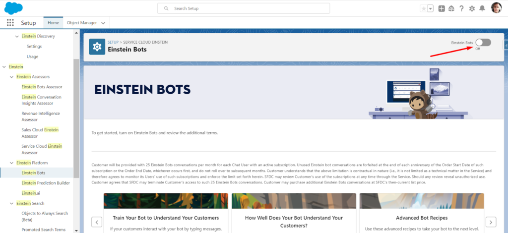 Step 1 - Find the Einstein Bots option