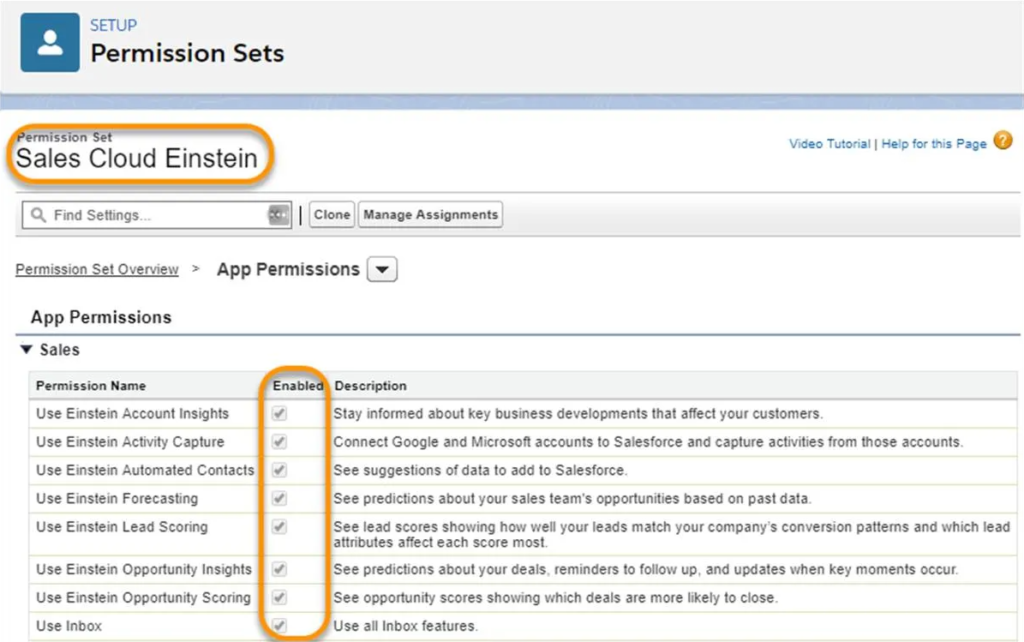 Einstein Permission Set Assignment