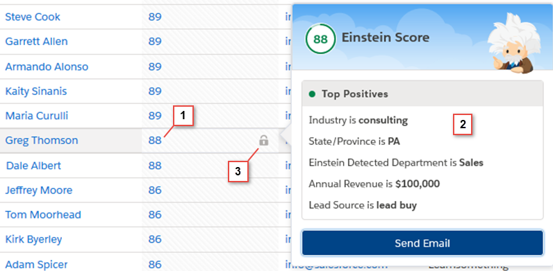 Einstein Score Details