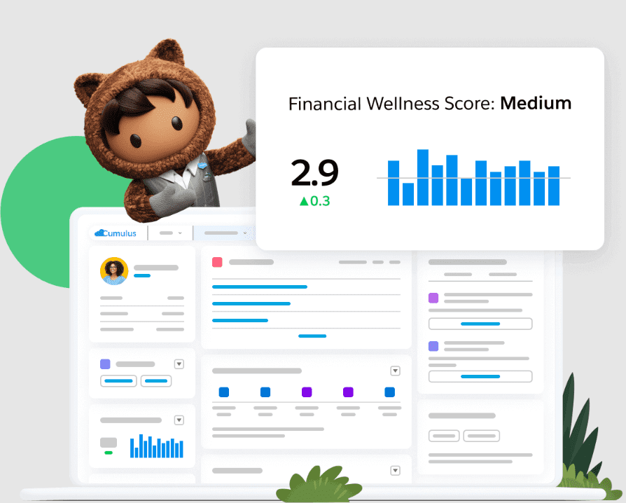 Financial Wellness Score