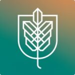 Hult Ashridge Executive Education
