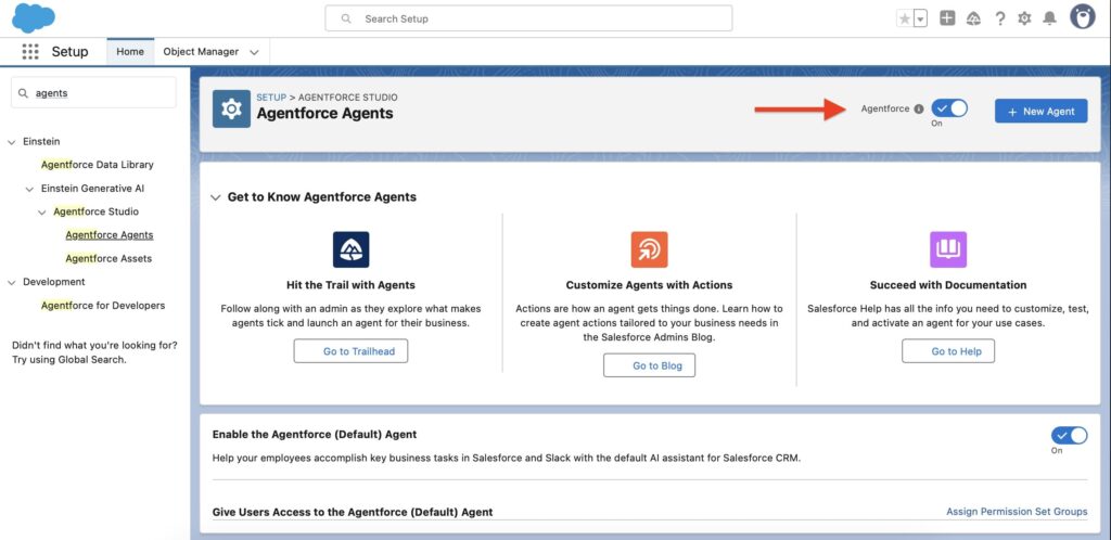 Enable Agentforce