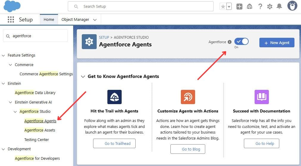 Agentforce Agents in Salesforce Org Setup