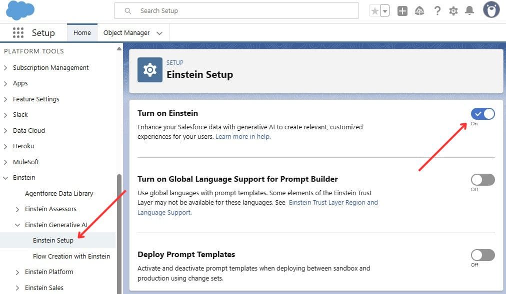 Einstein Setup in Salesforce Org