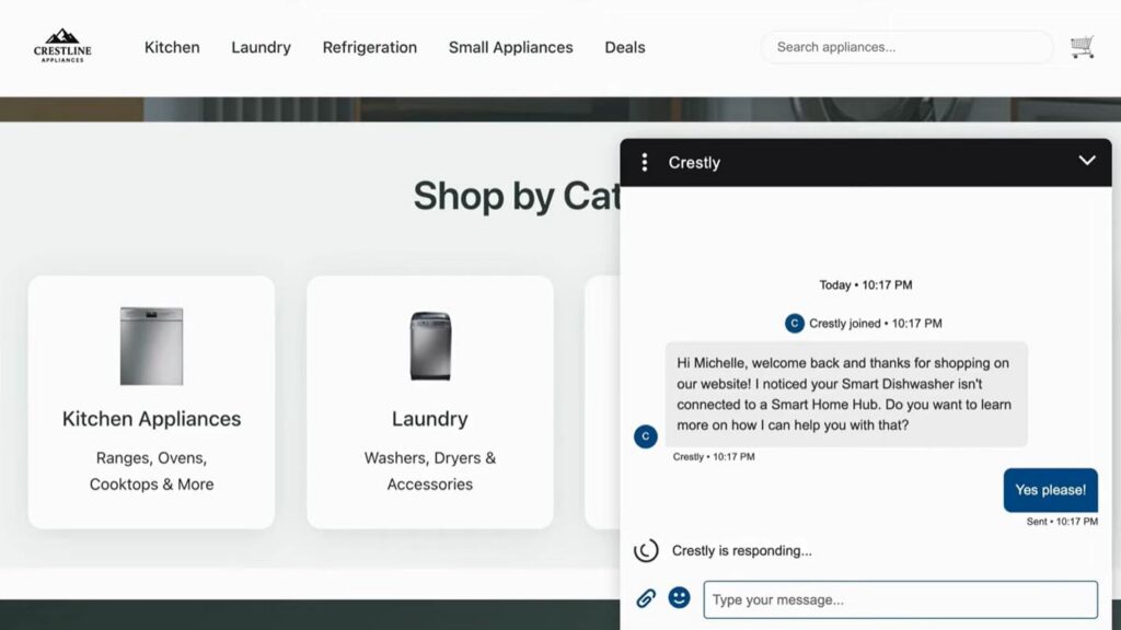 Example of customer-facing view on Agentforce