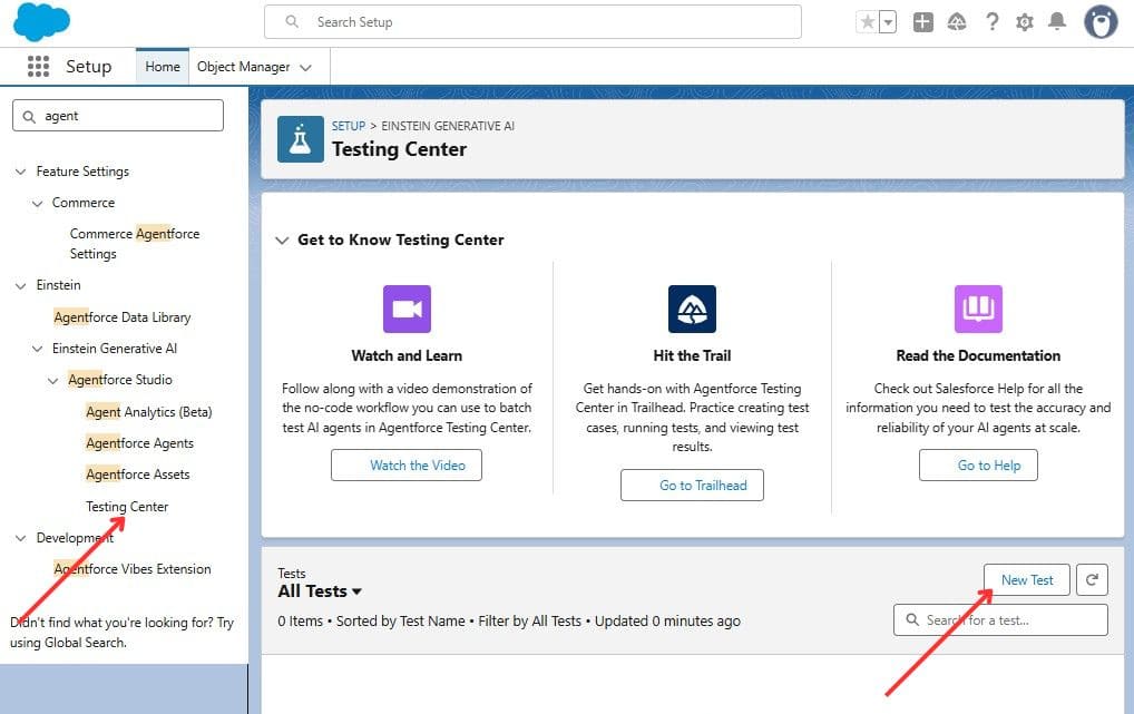 Agentforce Testing Center in Salesforce Org Setup