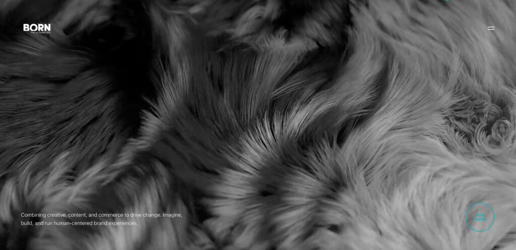 BORN-group-new-york-salesforce-development-consultant