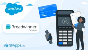 Breadwinner Payments Review thumbnail