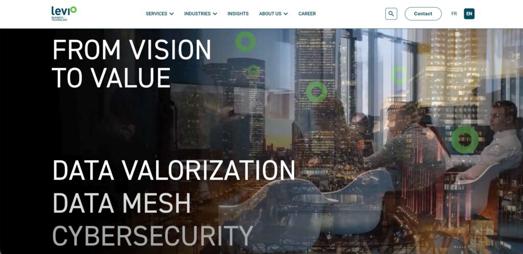 levioconsulting-salesforce-consulting-partners-in-canada