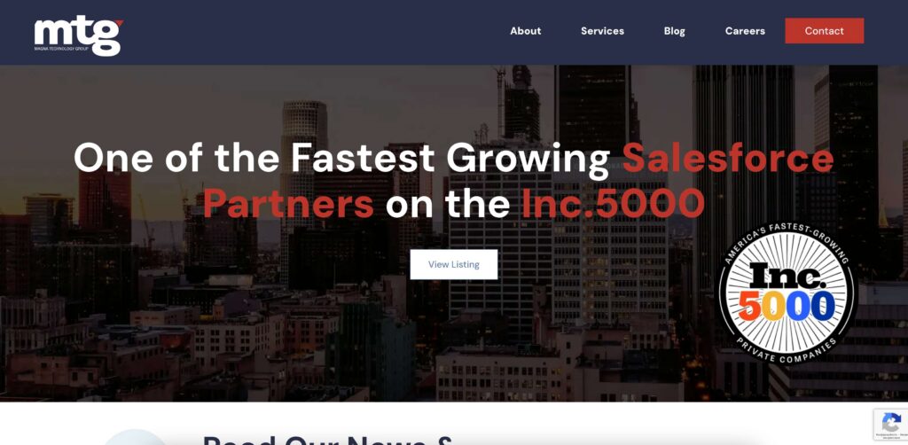 magna-technology-group-salesforce-development-company-in-new-york-city