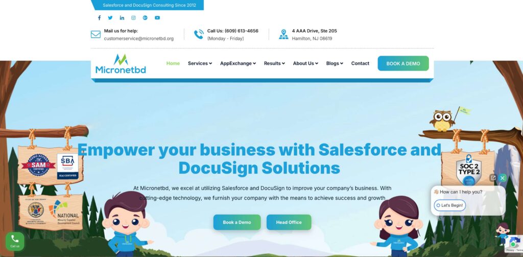 micronetbd-salesforce-consulting-services-in-canada