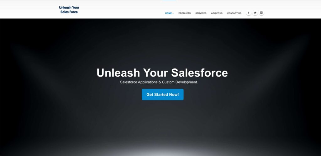 versatile-capitalist-salesforce-consulting-companies-canada