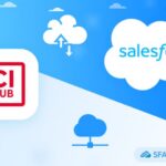 Key Salesforce Digital Asset Management Challenges thumbnail