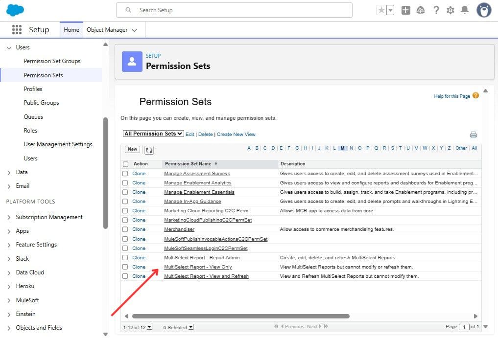MultiSelect Reporting Permission Sets