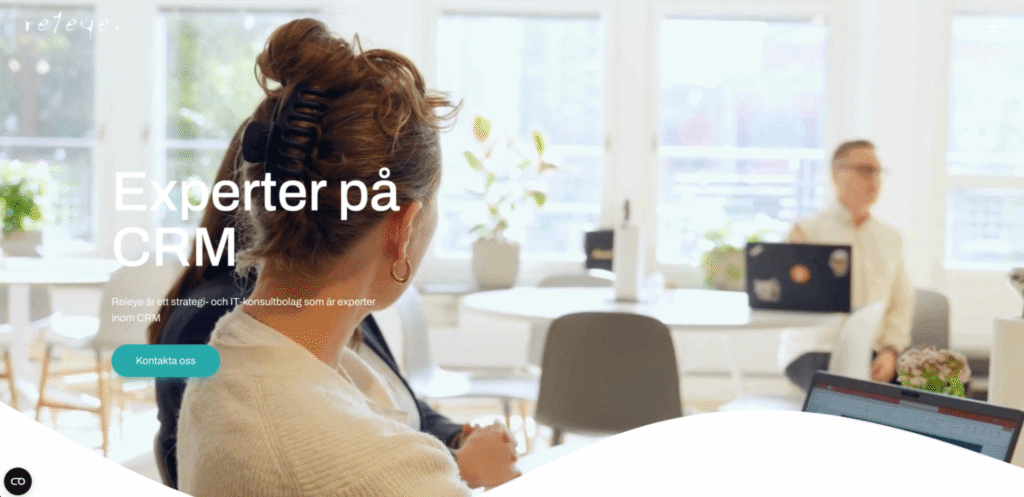 releye-salesforce-partner-stockholm