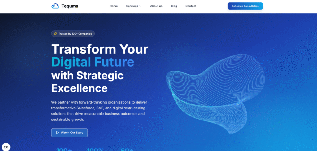 tequma-salesforce-partners-zurich