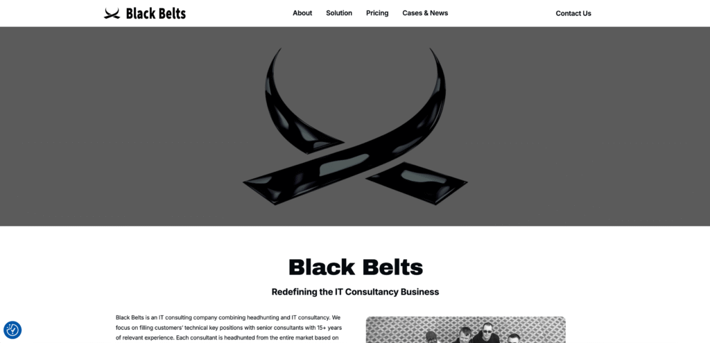 blackbelts-salesforce-partners-helsinki