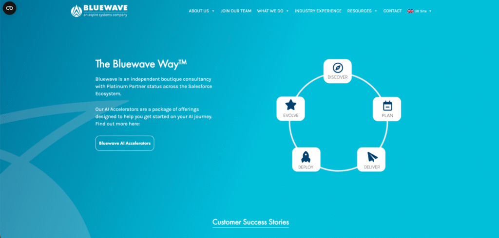 bluewavecx-salesforce-partners-dublin