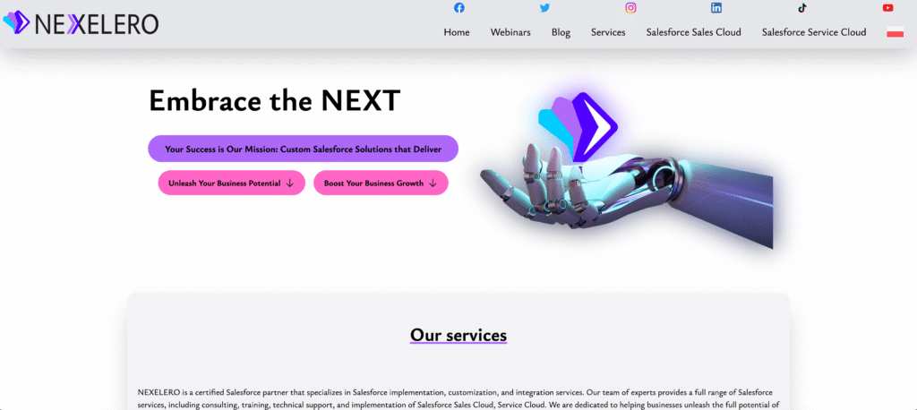 nexelero-salesforce-consulting-partners-poland