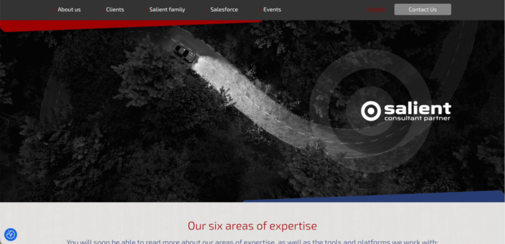 salient-salesforce-consulting-partners