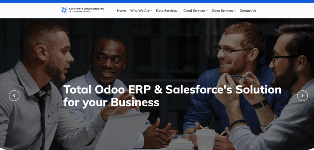 savvy-data-cloud-consulting-salesforce-partner-in-dubai