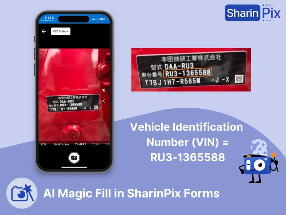 Magic Fill feature from SharinPix Visual Toolkit