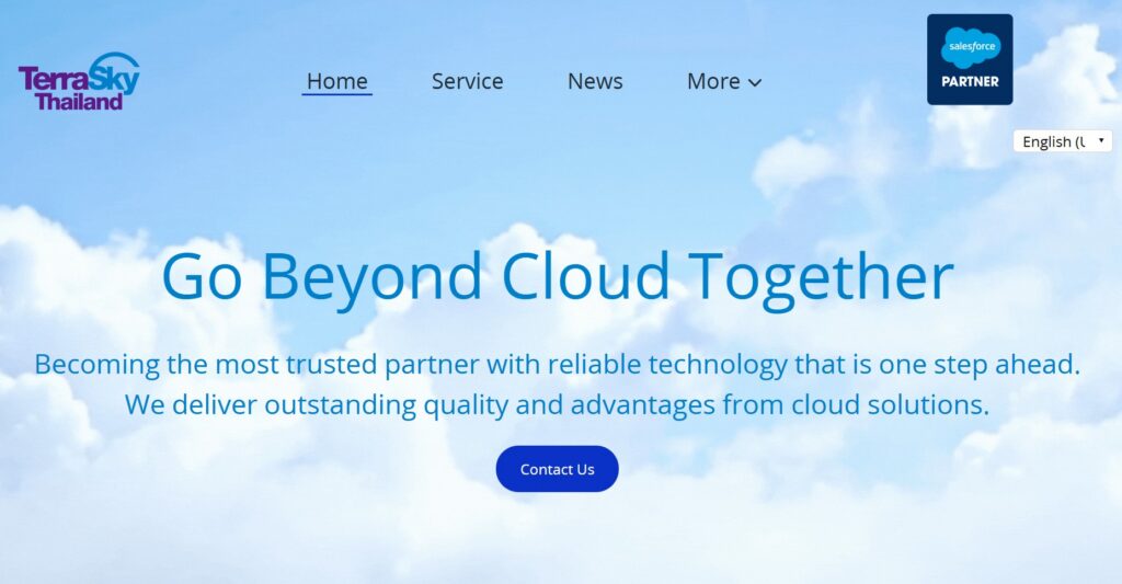 terrasky salesforce consulting partner in tokyo