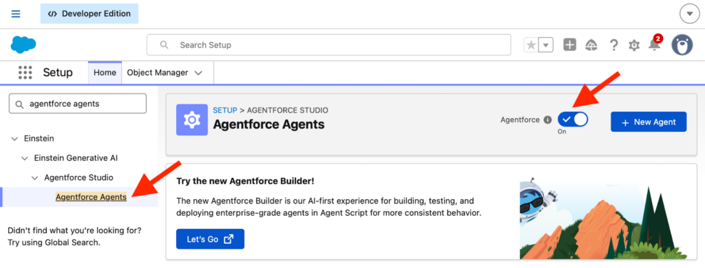 Enable Agentforce in Salesforce