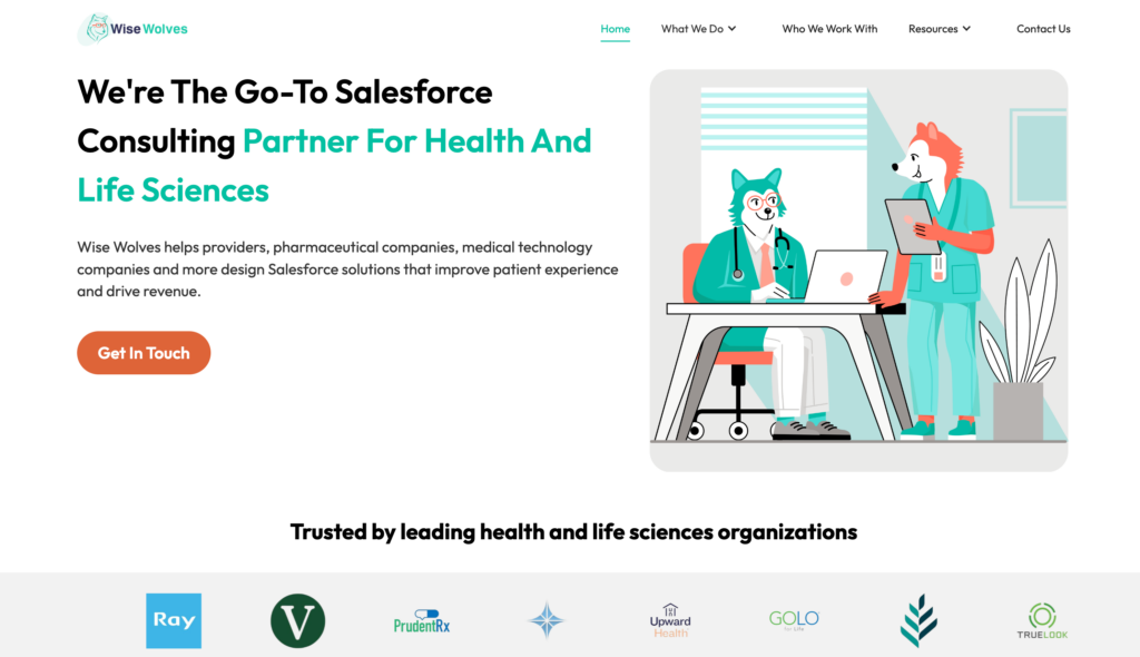 Wise Wolves US consulting company
