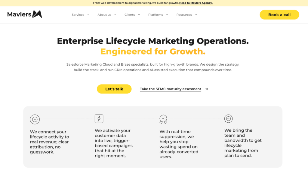 Mavlers Consulting Company
