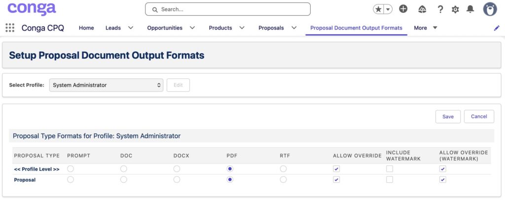Setup Proposal Document Output
