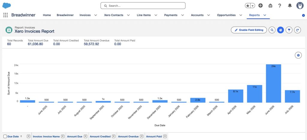 Xero Invoices Report